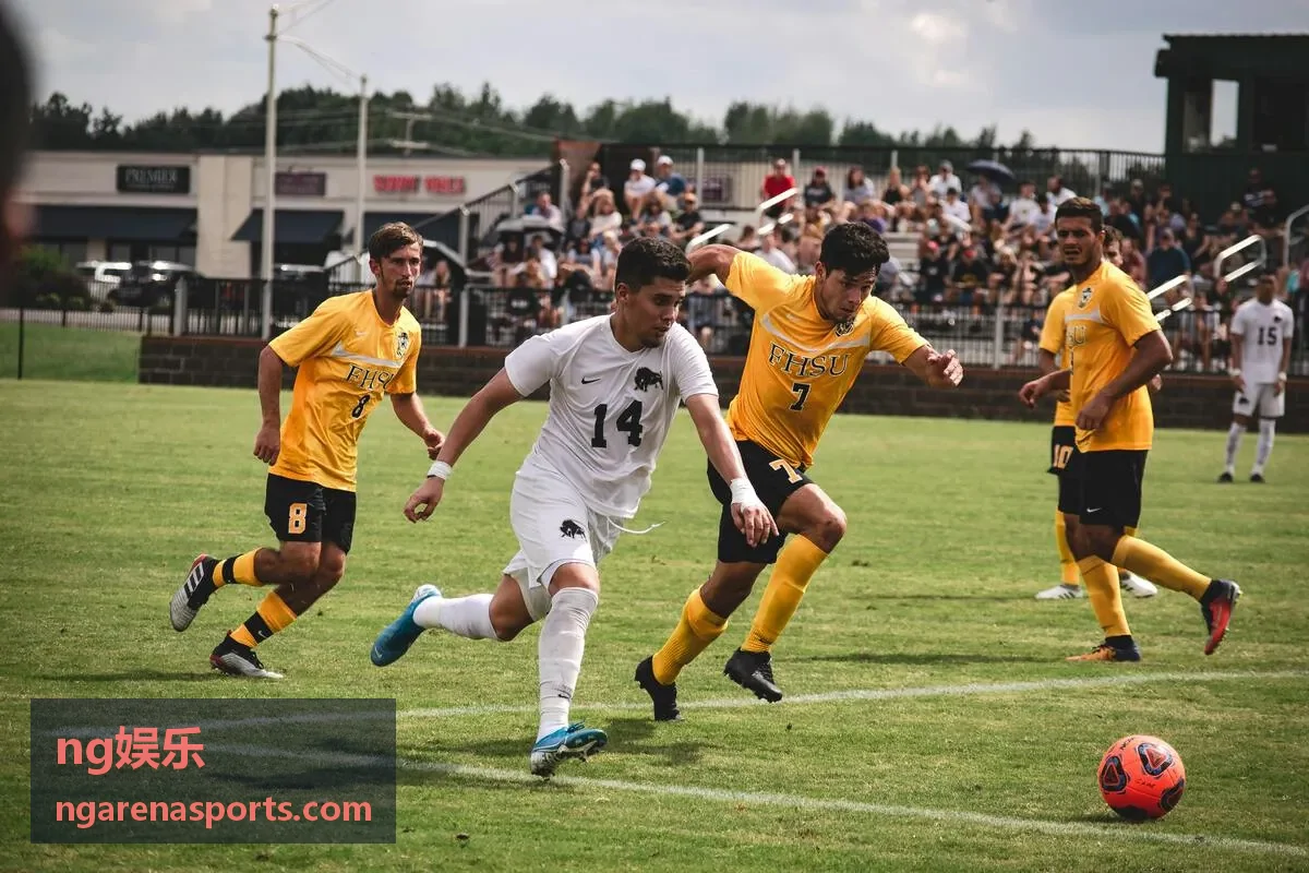 ng娱乐国际大赛数据复盘图
